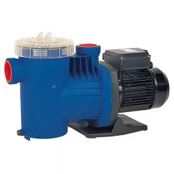 Bomba piscina Zodiac Redflo 100 Trifásica