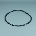 Replacement filter Astralpool Berlin cover gasket