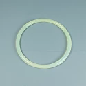 Replacement filter Astralpool Rapid Cover Gasket