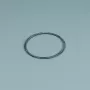Spare part ESPA Pump Pre-filter O-Ring