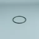 Ersatzteil ESPA Pumpe Vorfilter O-Ring neu