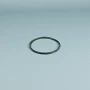 Vervangingsonderdeel ESPA Pomp voorfilter O-ring nieuw