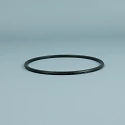 Spare part ESPA Pump Pre-filter O-ring old