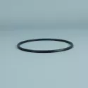 Spare part ESPA Pump Pre-filter O-ring old