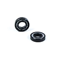 Spare parts for cleaners Hayward Turbine bearings (2 pcs.)