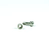 Recambio limpiafondos Hayward Tornillo motor