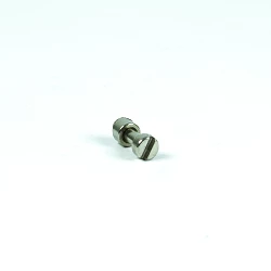 Recambio limpiafondos Hayward Tornillo motor