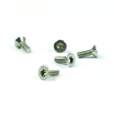 Pulitore di ricambio Hayward Vite M4x12 mm piatta TORX HD T-15