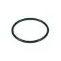 Substituição do clorador Zodiac O-ring para elétrodo