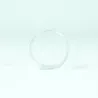 Recambio limpiafondos Zodiac Clip fijación de esponja
