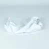 Recambio limpiafondos Zodiac Bolsa filtro (60 micras)