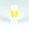 Recambio limpiafondos Zodiac Diafragma DIACYCLONE