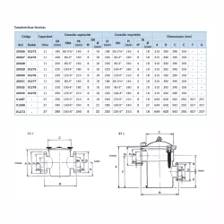 Prefiltro Aral 11 l. Astralpool Bridas DN 125  DN 100