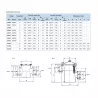 Prefiltro Aral 11 l. Astralpool Bridas DN 125 DN 100