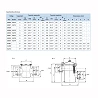 Prefiltro Aral 11 l. Astralpool Bridas DN 100