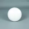 Lámpara Led Multicolor PAR56 800 Lumens con mando