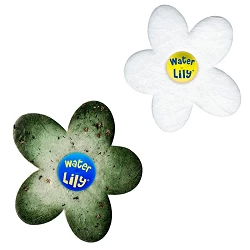 Absorbente de materias grasas Water Lily (6 unidades)