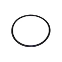 Replacement Clorimax O-Ring 210 x 9 viton