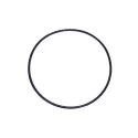 Ersatzteil Astralpool Pumpe O-Ring D.192 x 5 mm