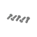 Replacement cleaner Hayward Screw M5x20 mm round head TORX HD T-20