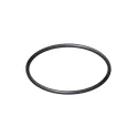 Sostituzione della pompa Hayward Coperchio O-ring