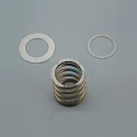 Spare part Astralpool Selector valve Spring with washers 2" 1/2