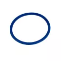 Replacement chlorinator BSV Concept rubber seal