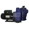 Bomba piscina Hayward Powerline Plus 0,75 HP
