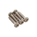 Replacement cleaner Zodiac Screw 4 x 16 mm (5 pieces)