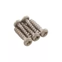 Zodiac Pulitore di ricambio Vite 4 x 16 mm (5 pezzi)