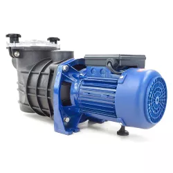 Bomba piscina QP Bravia 1,5 CV Monofásica