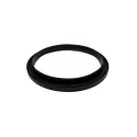 QP Ersatzpumpe Vorfilterdeckeldichtung Bravia 1,5 - 3 HP