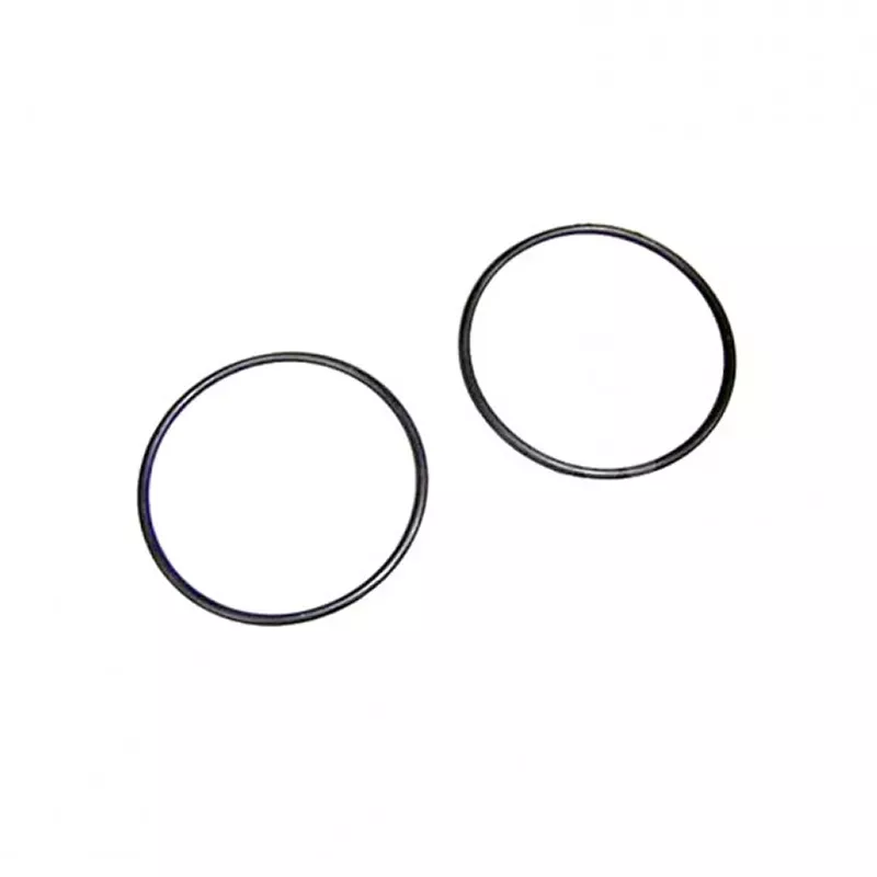 Substituição da bomba Astralpool O-ring D.54x2,5