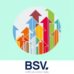 Aggiornamento del software del clorinatore a sale BSV