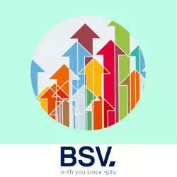 Software-Update für Salzchlorinator BSV