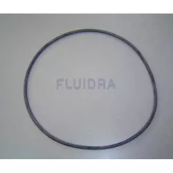 Filter Cover Gasket Astralpool