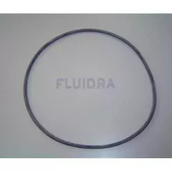 Guarnizione del coperchio del filtro Astralpool