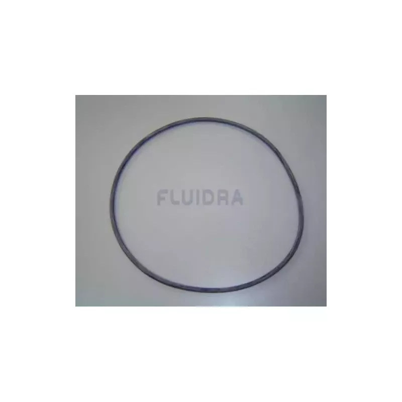 Guarnizione del coperchio del filtro Astralpool