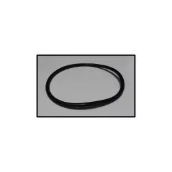 Replacement ESPA filter Neat gasket