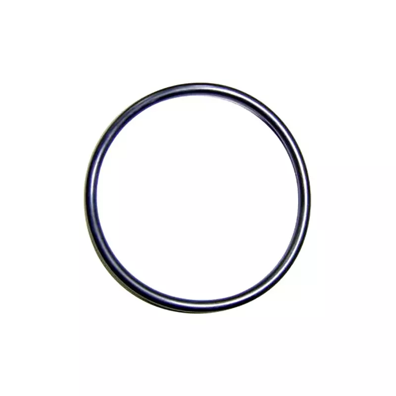 Substituição do clorador Astralpool Anel de vedação O-ring