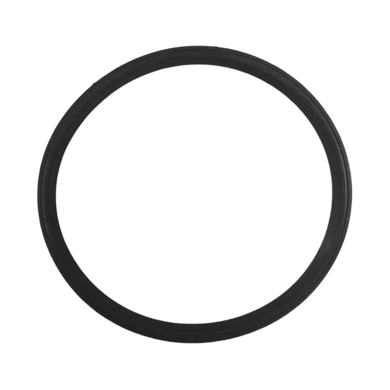 QP Ersatzpumpe Vorfilterdeckeldichtung Pisces-Mini
