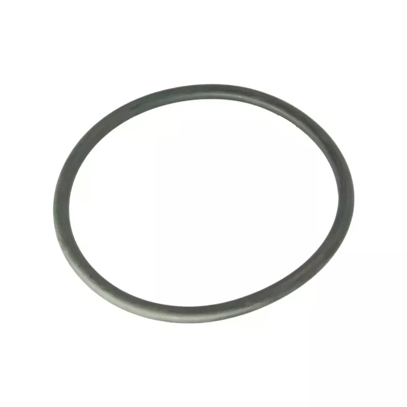 Saci Sostituzione pompa O-ring coperchio pre-filtro 92401045
