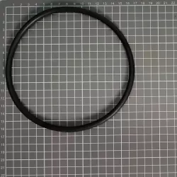 Pumpe Ersatz Astralpool O-Ring 151,7 x 6,99