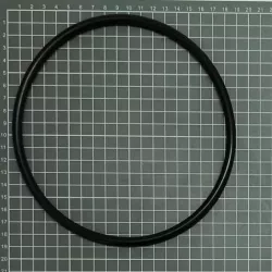 Peça sobressalente ESPA Pump Flipper 2NS pré-filtro O-Ring