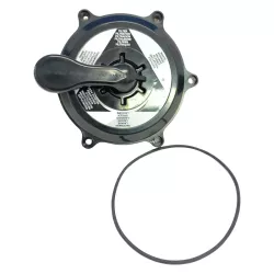 Reserveonderdeel Astralpool Ventiel Bovenste assemblage Plat 1" 1/2