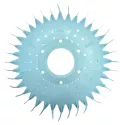 Onderdelen voor zwembadreiniger Zodiac Disc Pacer
