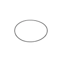 Astralpool Sostituzione del coperchio O-ring della valvola selettrice 2" 4404120053