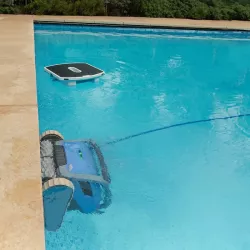Dolphin Pulitore di superfici per piscine Skimmi