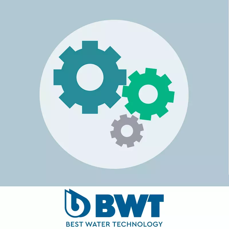 Revisión limpiafondos BWT