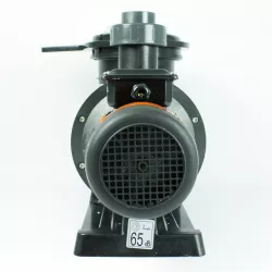 Bomba Alaska plus 1 CV 230 V Mono